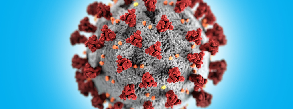 Coronavirus close up for home-based health blog insert