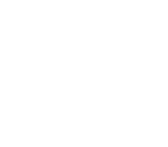 DHS Child Abuse Mandatory Reporter Certificate