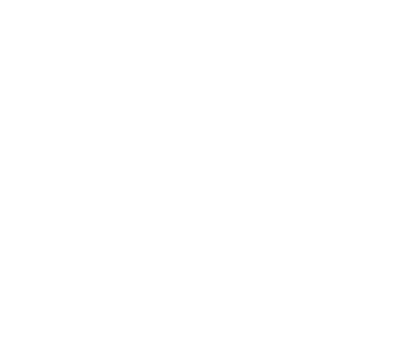 DHS Dependant Adult Mandatory Reporter Certificate